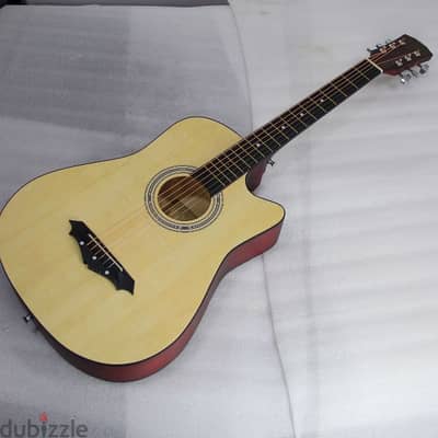 Brand New Acoustic Guitar