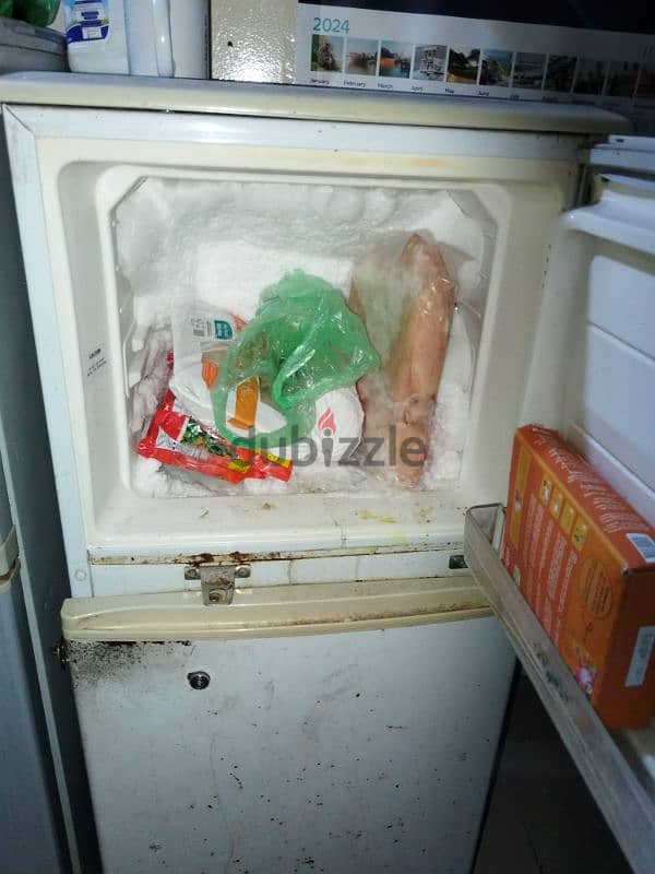 fridge 1