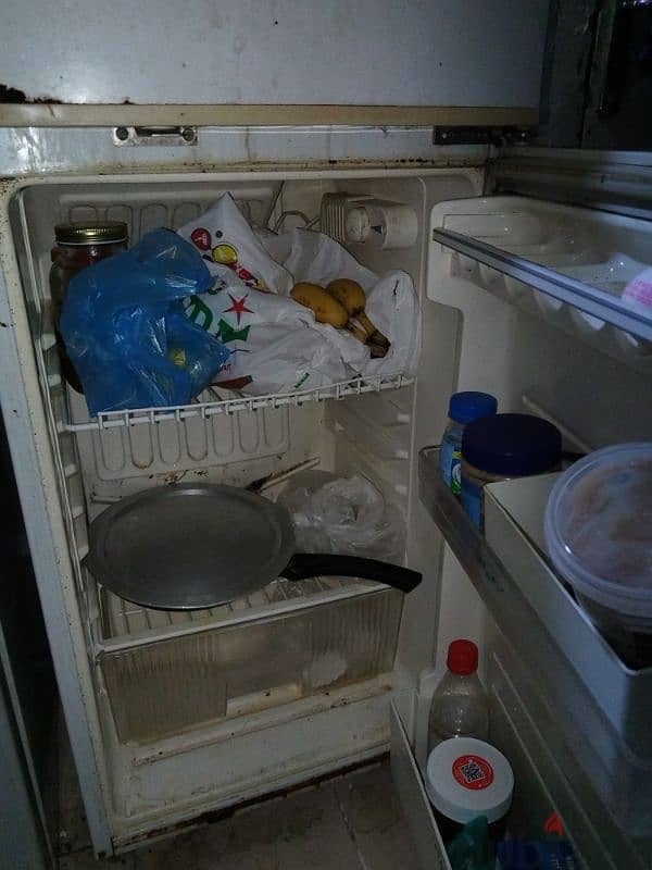 fridge 2