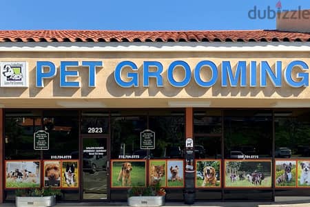 looking for Pets Grooming Shop