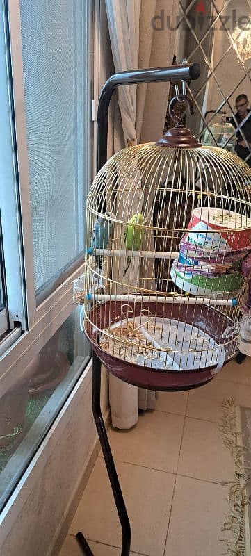 bird and stand for sale 15bd