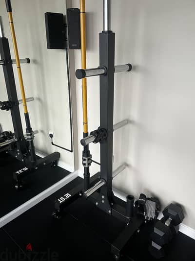 Plate and barbell tree rack