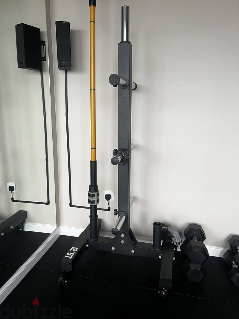 Plate and barbell tree rack 1