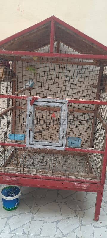 cage for sale with birds 2