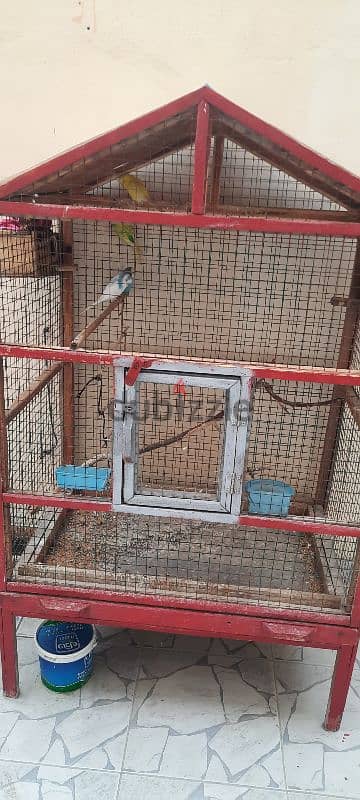 cage for sale with birds 3