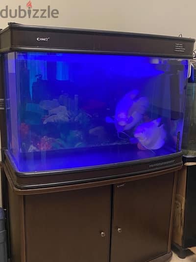 Aquarium for sale