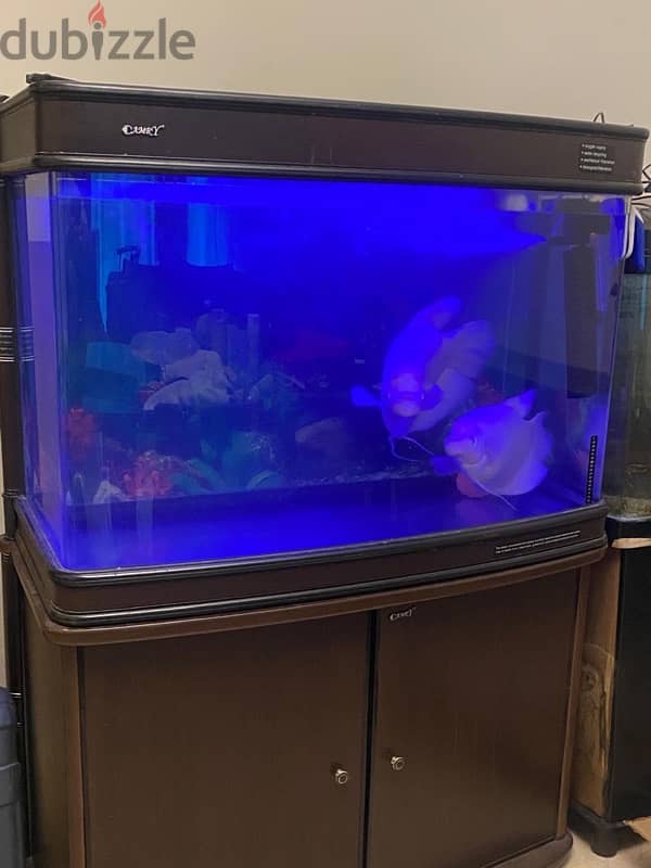 Aquarium for sale 0