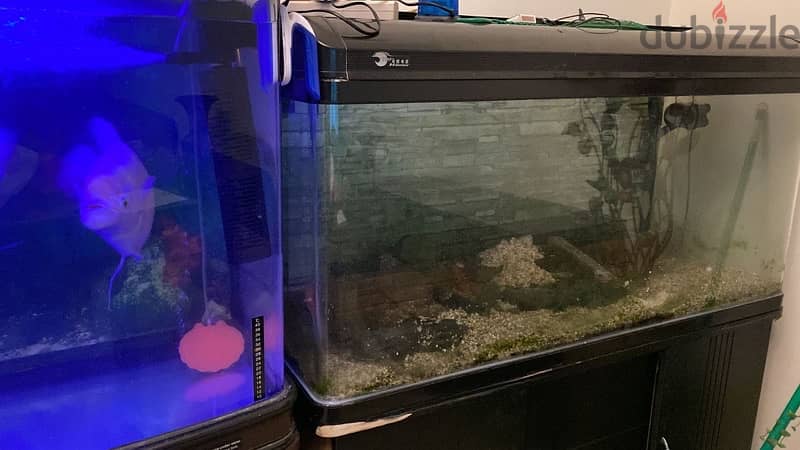 Aquarium for sale 1