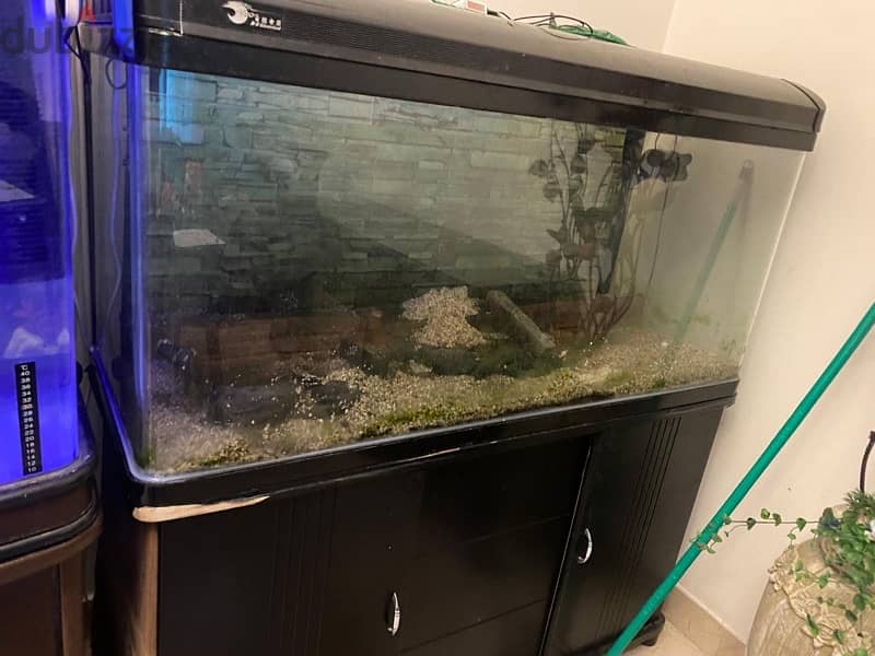 Aquarium for sale 3