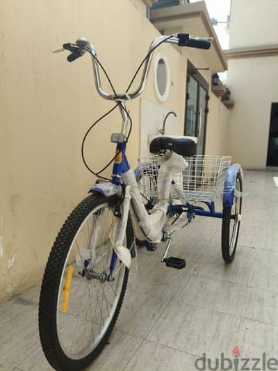 Three Wheel Bicycle for Sale