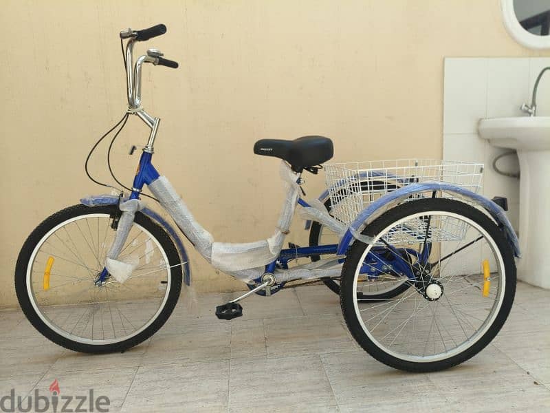 Three Wheel Bicycle for Sale 1