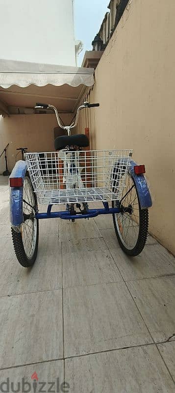 Three Wheel Bicycle for Sale 3