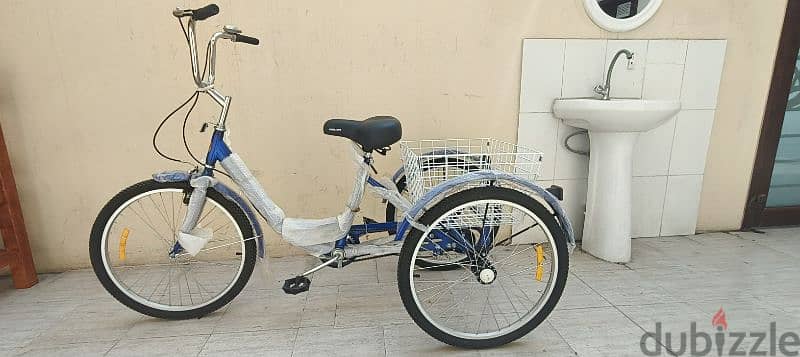 Three Wheel Bicycle for Sale 4