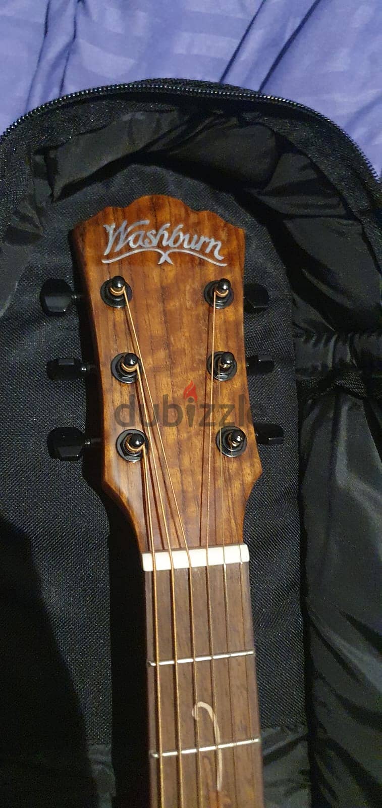 washburn with bag new 1