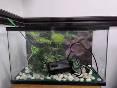 Fish aquarium 50×25×30cm