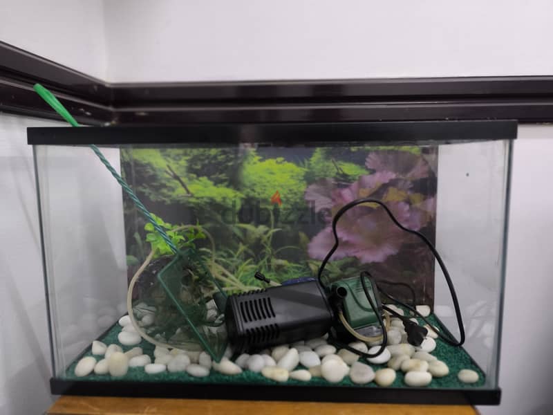 Fish aquarium 50×25×30cm 0