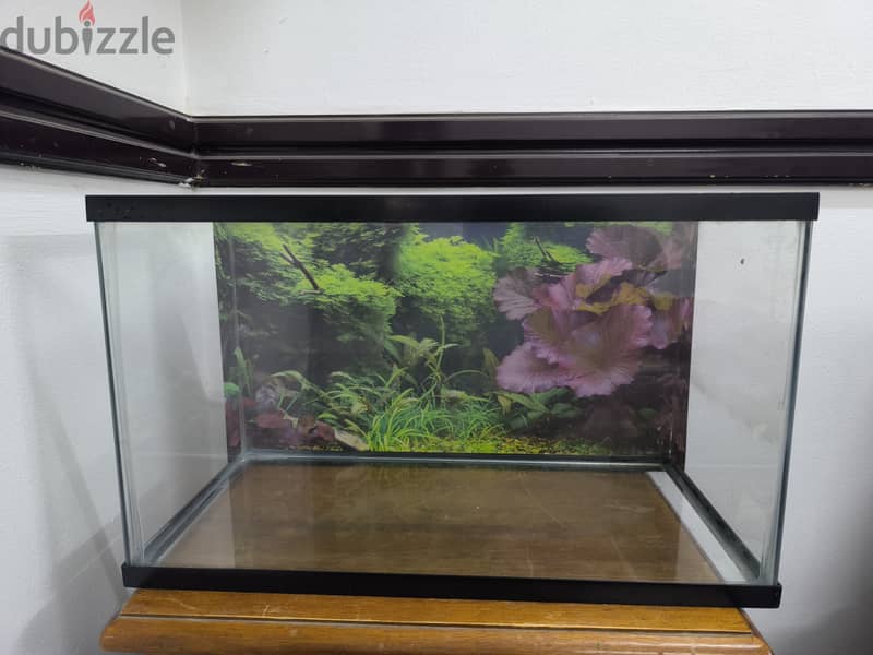 Fish aquarium 50×25×30cm 3