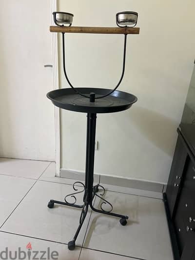 Birds play Stand For Sale