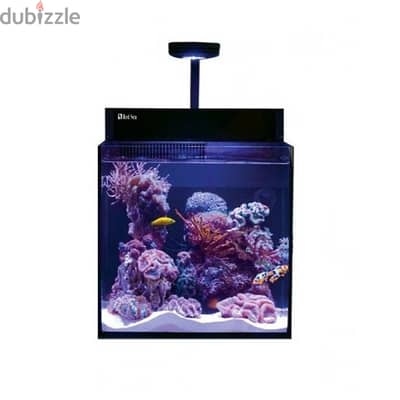 Red Sea Max Nano Cube + Clown Fish + Table/Cabinet حوض سمك مع سمكة