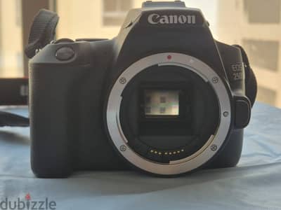 Canon Camera for Sale