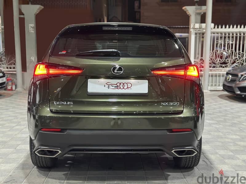 Lexus NX 300 2021 10