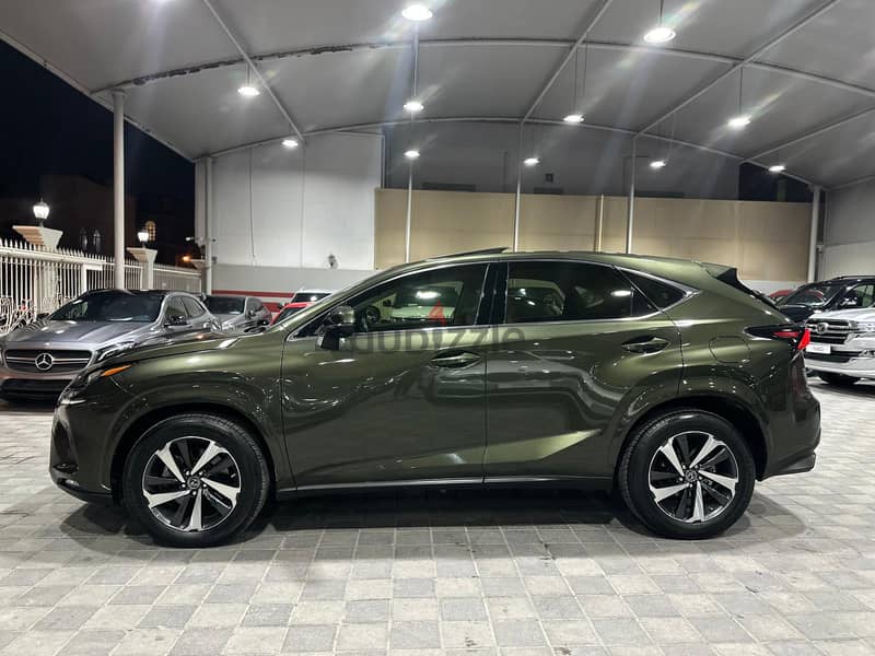 Lexus NX 300 2021 12