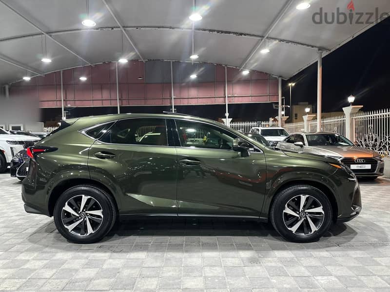 Lexus NX 300 2021 13