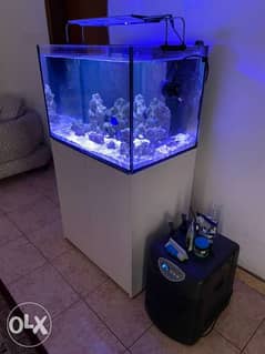 marine aquarium 0