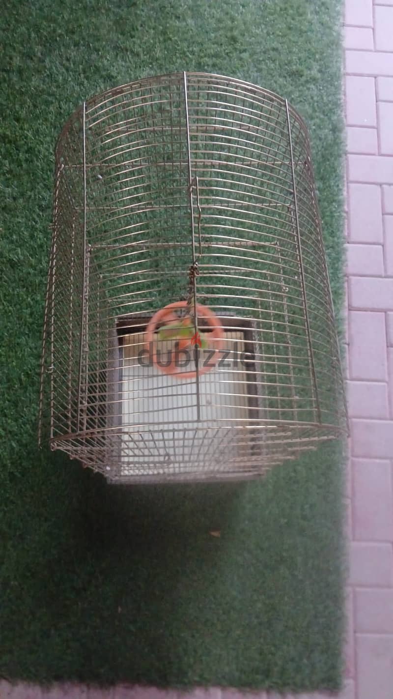 Bird cage 1