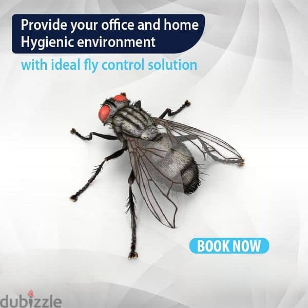 pest control and cleaning services 2