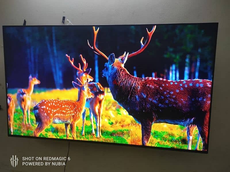 Samsung 65 inches smart 10