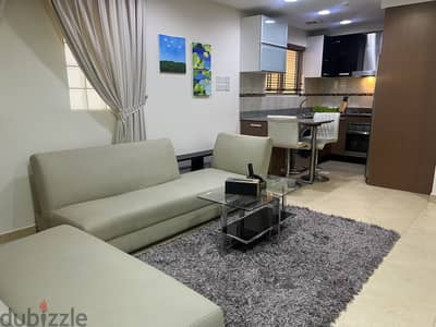 Saar- Spacious 1 Bedroom Fully Furnished Apartment