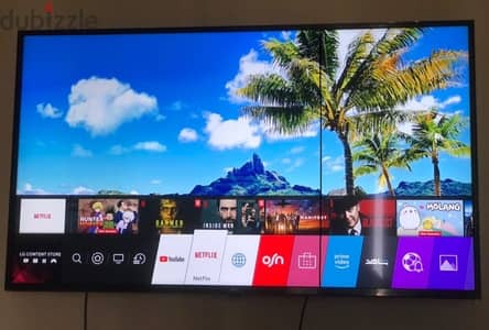 65-inch LG Smart 4K UHD TV has a minor line