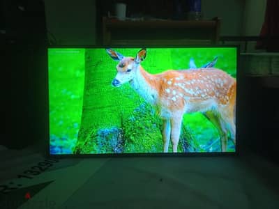 SAMSUNG  46 INCH LED TV