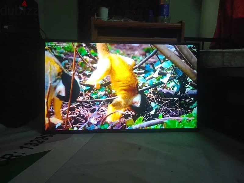 SAMSUNG  46 INCH LED TV 3