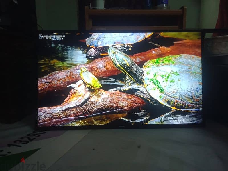 SAMSUNG  46 INCH LED TV 5