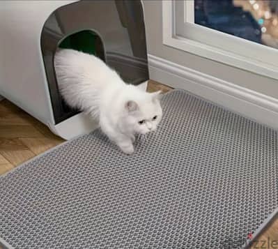 kitten gray oval bed and a litter box mat