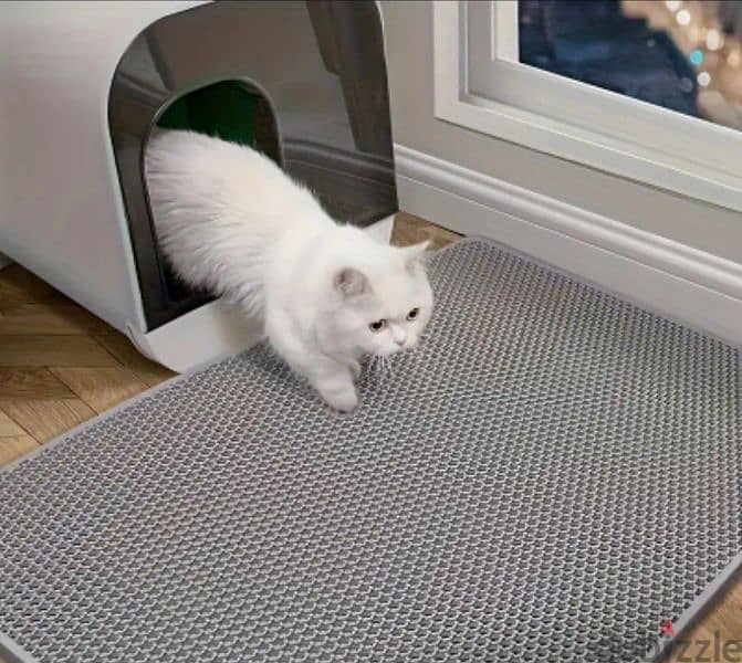 kitten gray oval bed and a litter box mat 0