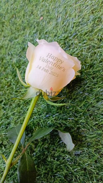 Customize Message Print on Real Flowers