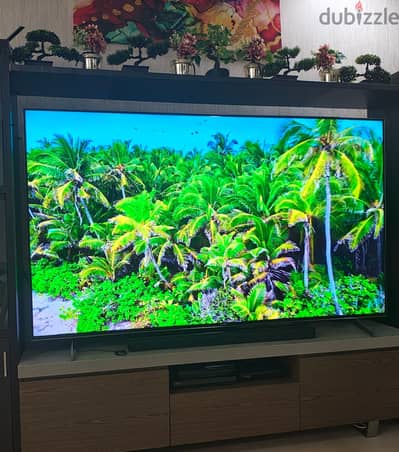 FLASH SALE - SONY BRAVIA VH1 85"