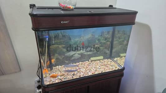 For Sale: Large Aquarium in Excellent Condition!