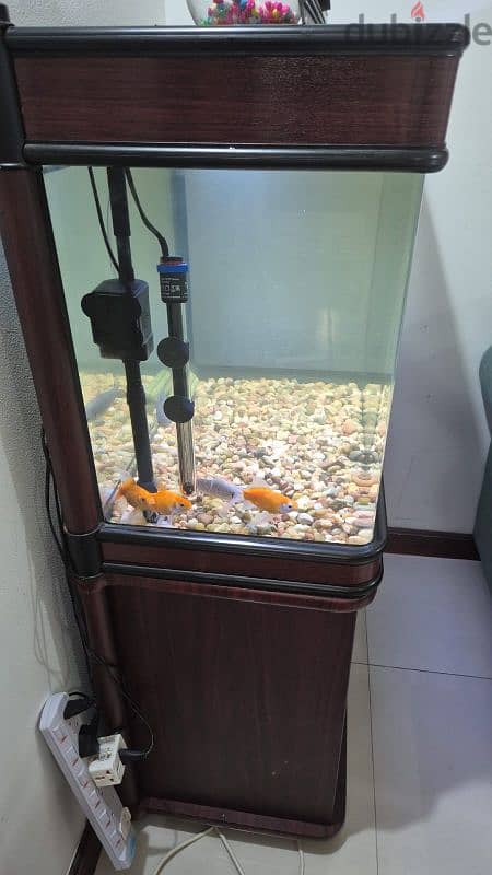 Fish tank in very good condition 1