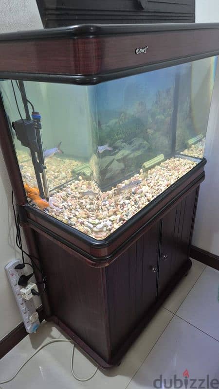 Fish tank in very good condition 2