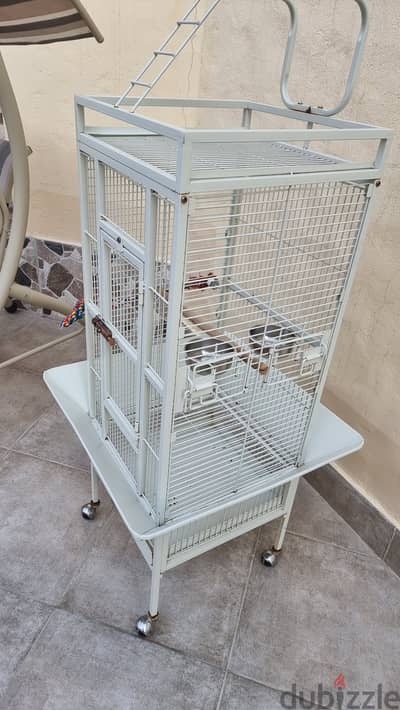 Birds Cage For Sale قفص طيور للبيع