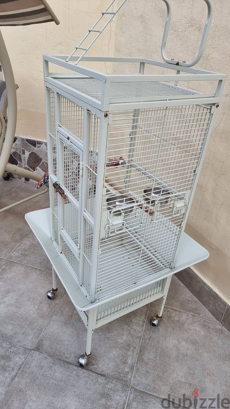 Birds Cage For Sale قفص طيور للبيع 0