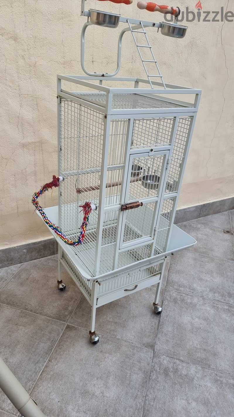 Birds Cage For Sale قفص طيور للبيع 2