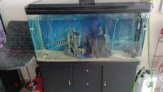 Big size aquarium urgent sell