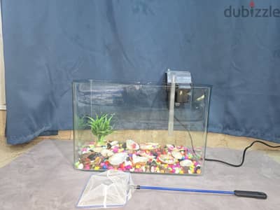 fish tank with accessories