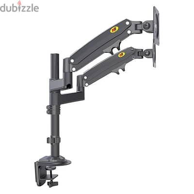 Daul screen mount