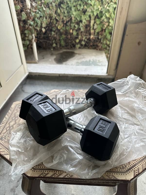 EZ bar - Bunper plates - Dumbbells 5